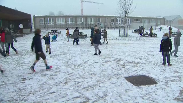 Fenomen neobișnuit. Ce este de fapt "zăpada" care a acoperit un orășel din Belgia