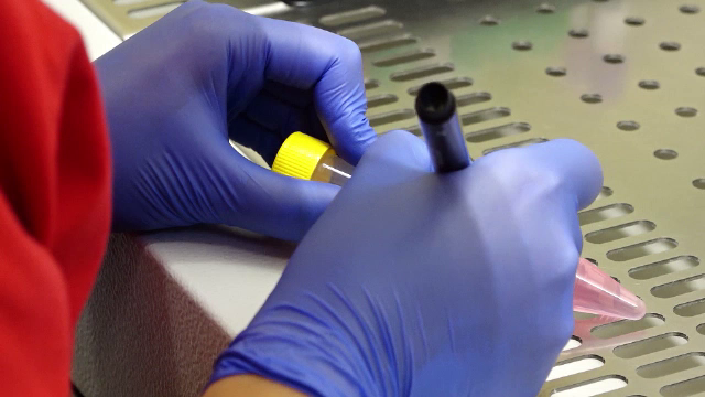 Patru dintre muzicienii care au concertat în Wuhan, de unde a pornit virusul ucigaș, sunt în carantină la domiciliu