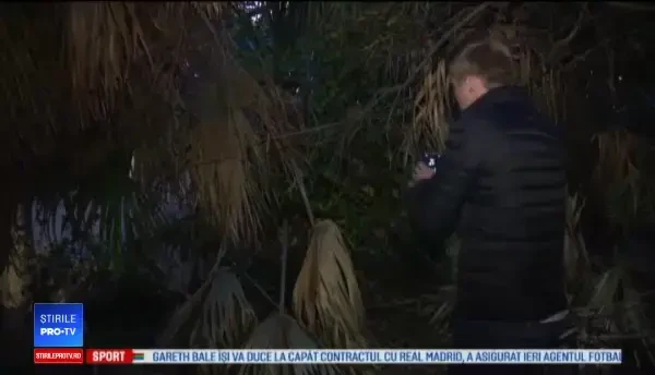 Fenomen îngrijorător într-un stat american, în urma răcirii bruște a vremii