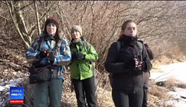 Mediul din România se degradează pe zi ce trece. Pasările care au o dispariție dramatică