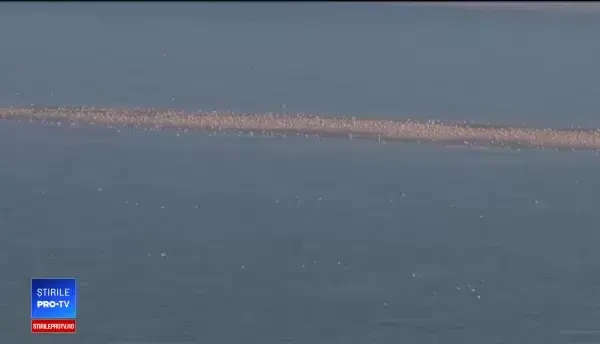 Seceta prelungită afectează grav circulația pe Dunăre. Unele ambarcațiuni au rămas blocate