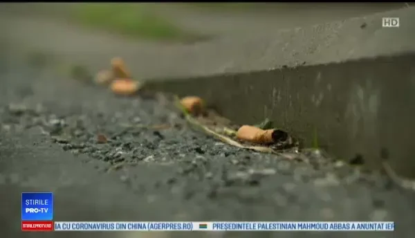 Orașul în care primești o amendă uriașă dacă arunci mucuri de țigări pe stradă