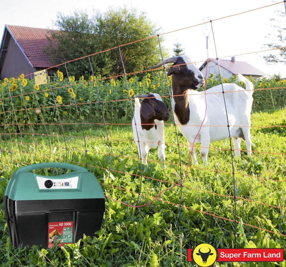 (P) Fermierii moderni preferă gardurile electrice. Iată de ce