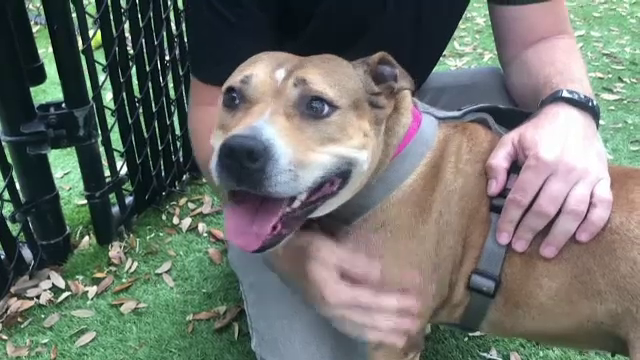 Imaginea de pe o cutie de bere i-a schimbat viaţa unei tinere. "Sunt binecuvântată"