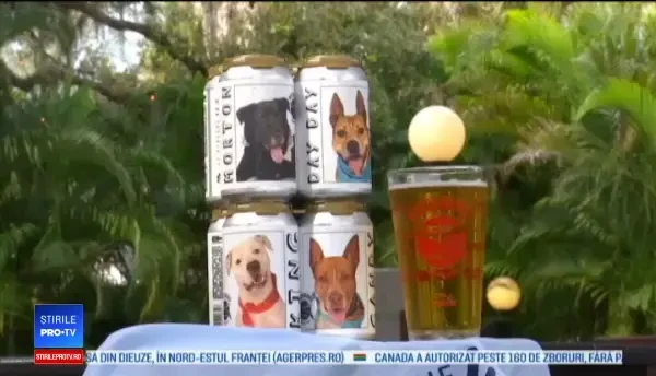 Imaginea de pe o cutie de bere i-a schimbat viaţa unei tinere. "Sunt binecuvântată"