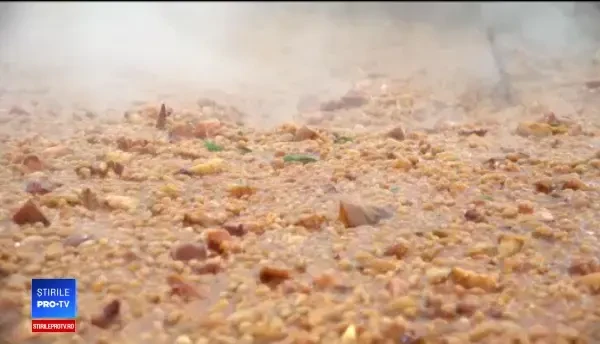 Metoda inedită a unor tineri din Austria pentru a salva planeta. De ani de zile mănâncă din gunoi