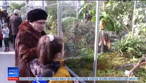 Principalele atracții de la grădina botanică din Iași. Cele mai apreciate exponate