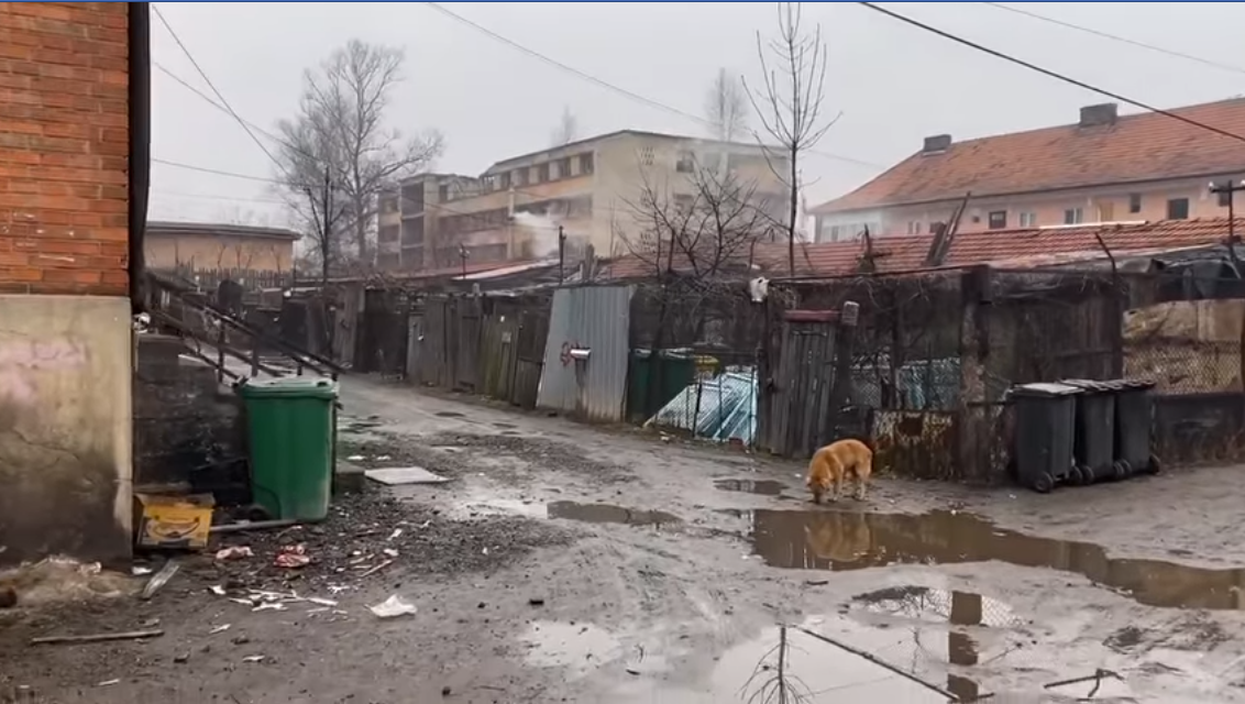 Imagini rușinoase pentru România anului 2020: ”Comunități uitate de Dumnezeu. Mizerie. Trist”