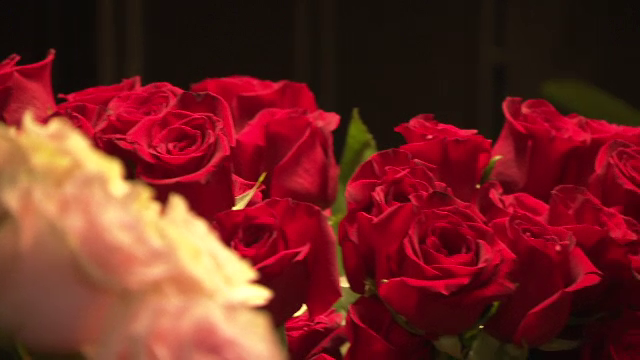 Ziua Îndrăgostiților 2020. Ce reprezintă trandafirul sau laleaua. Poveștile celor mai populare flori