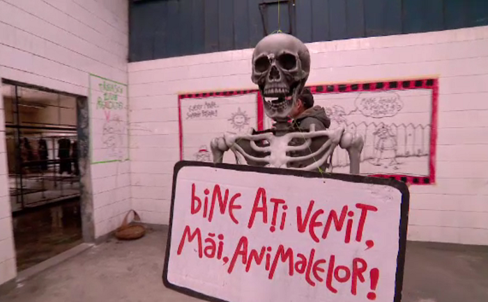 Proiectul cultural înființat de foști mineri, care dă o pată de culoare Văii Jiului