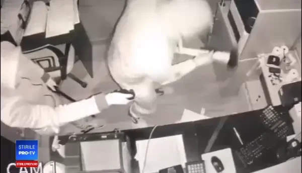 af în câteva minute la case de pariuri din București. Cum operau hoții. VIDEO
