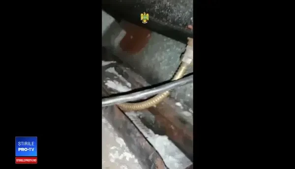 "Trenul ţigărilor". Cursa Chişinău-Bucureşti, oprită după ce s-au găsit ţigări până şi în chiuvete