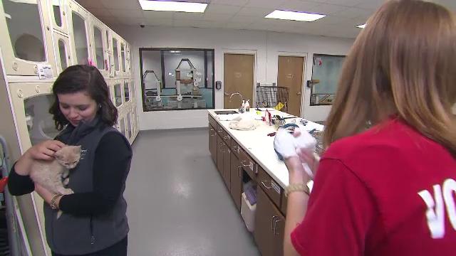 Efectele uimitoare ale gesturilor de bunătate. Rezultate studiu