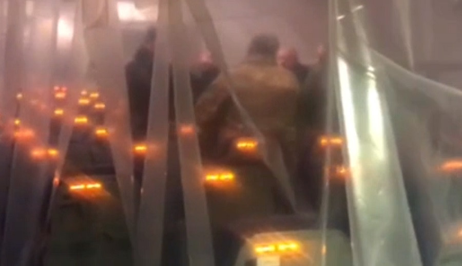 Șase români de pe „Diamond Princess”, aduși în țară. Primele imagini din avion