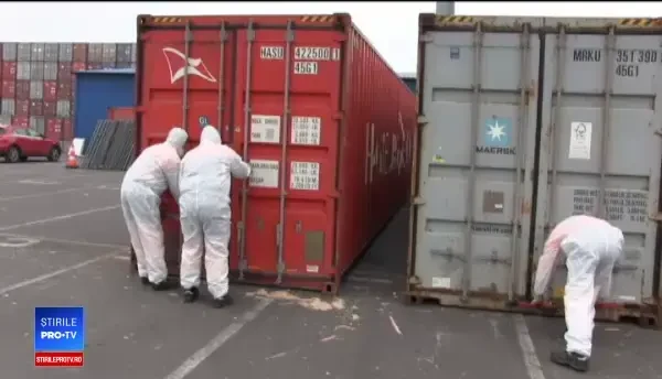 Cine este importatorul gunoiului descoperit în Portul Constanța. Traseul deșeurilor