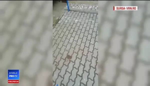 Reacția șefului ISC Vaslui după ce a fost filmat beat la birou: "Nu mor caii când vor câinii"