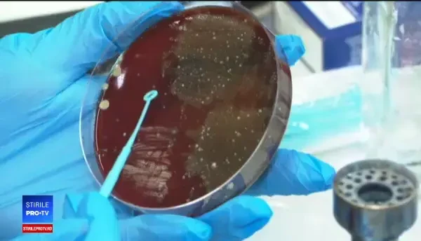 Tot ce trebuie să știi despre noul coronavirus: cauze, răspândire și simptome