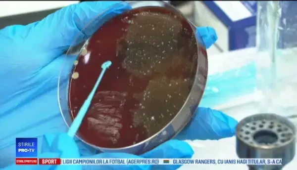 Ghidul pentru coronavirus. Ce trebuie să știți despre infectare, simptome și tratament