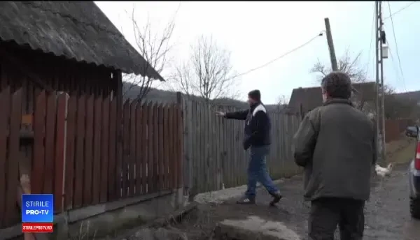 Urșii au ieșit din hibernare și au dat iama prin ferme, în județul Mureș