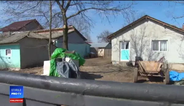 Scene de groază în Brăila. O femeie și nepoata ei de 4 ani, spulberate pe trecerea de pietoni