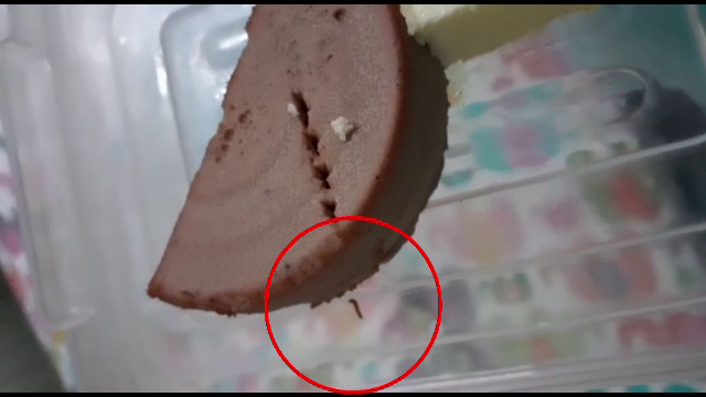 Copii internați printre gândaci și hrăniți cu pateu cu viermi la un spital din Cluj-Napoca