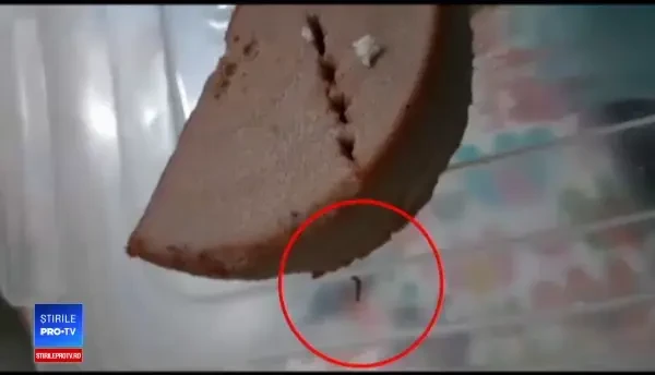 Copii internați printre gândaci și hrăniți cu pateu cu viermi la un spital din Cluj-Napoca