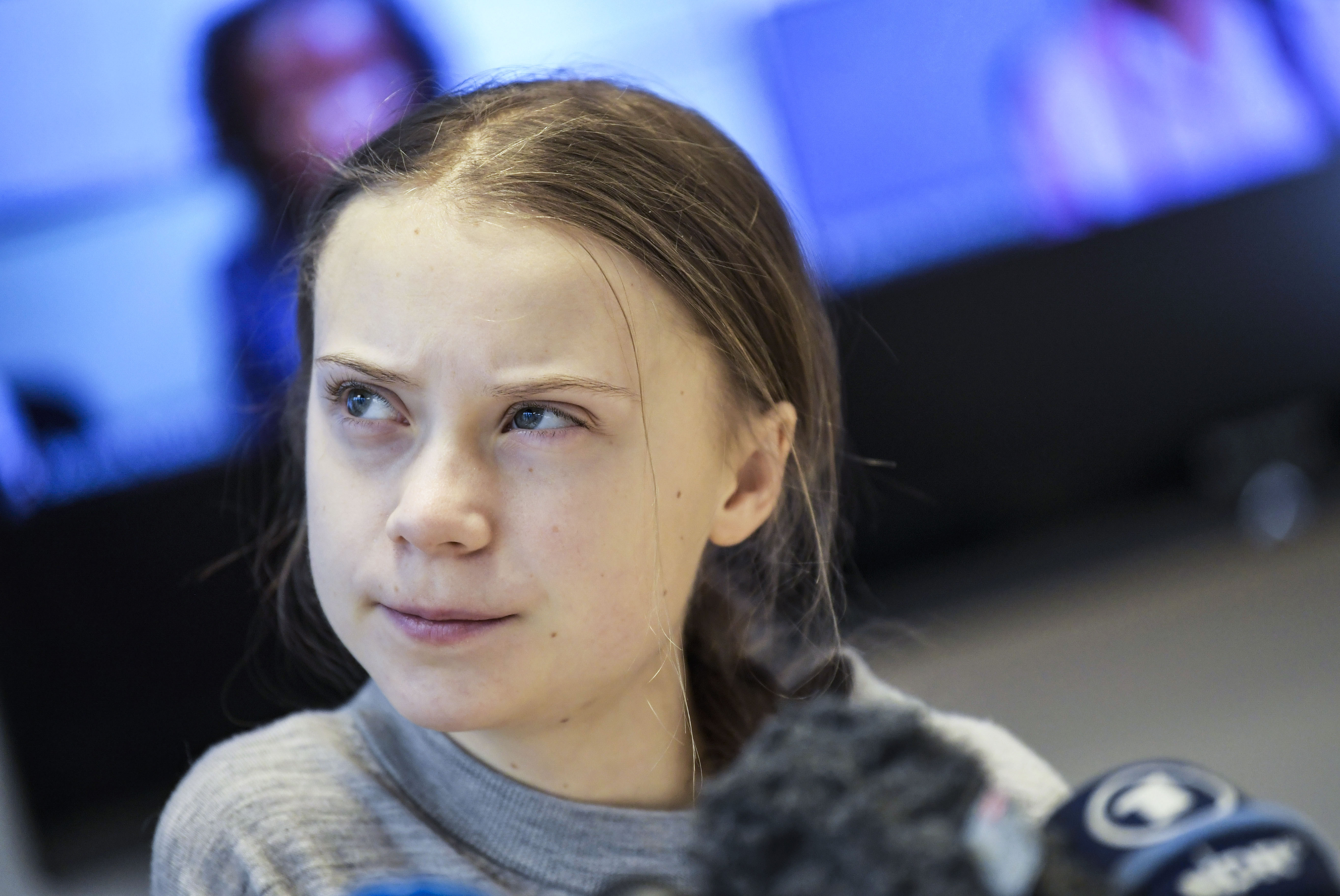 Greta Thunberg a fost ”forțată să țină” steaguri ale Israelului și să le sărute în arestul preventiv, susține un activist
