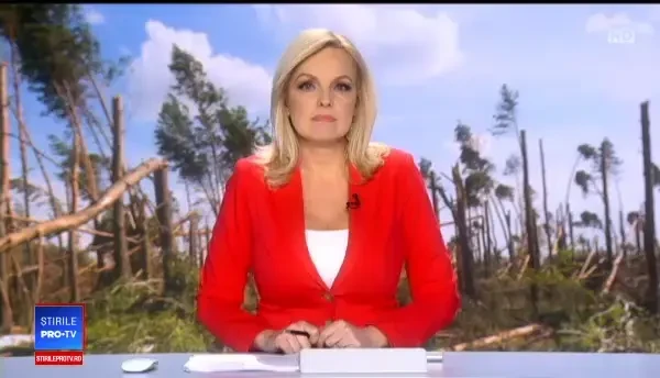 Copacii care au rămas în picioare după vijelia din Prahova sunt în pericol, din cauza insectelor