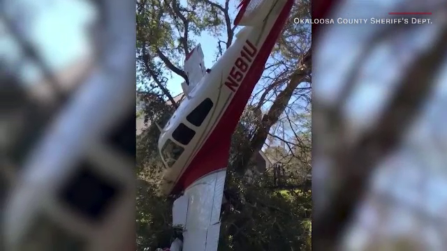 Imagini inedite: Un pilot a aterizat cu avionul într-un copac din curtea unei case