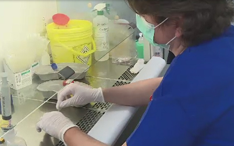 Mărturiile medicilor epidemiologi din România: "Este o perioadă grea"