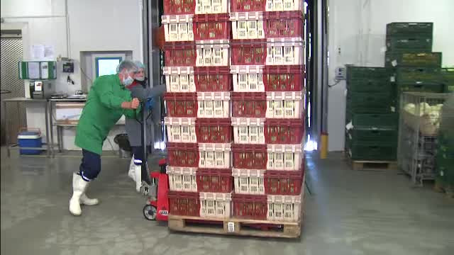 De teama Covid-19, românii se aprovizionează din magazine ca în perioada sărbătorilor