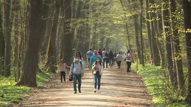 În plină epidemie de Covid-19, românii au ieșit la iarbă verde și au umplut piețele