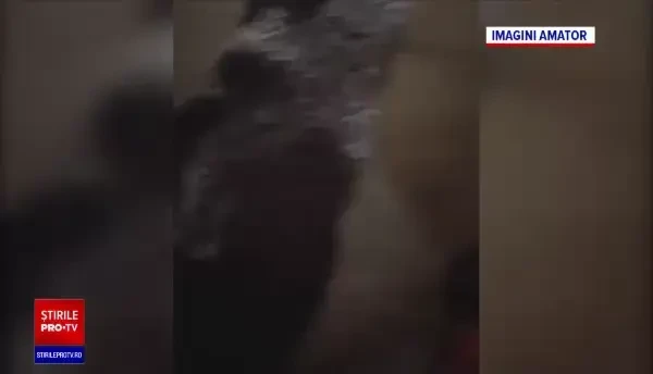 Cum au ajuns enoriașii să se roage, după ultimele restricții: "Să ia Dumnezeu virusul ăsta"