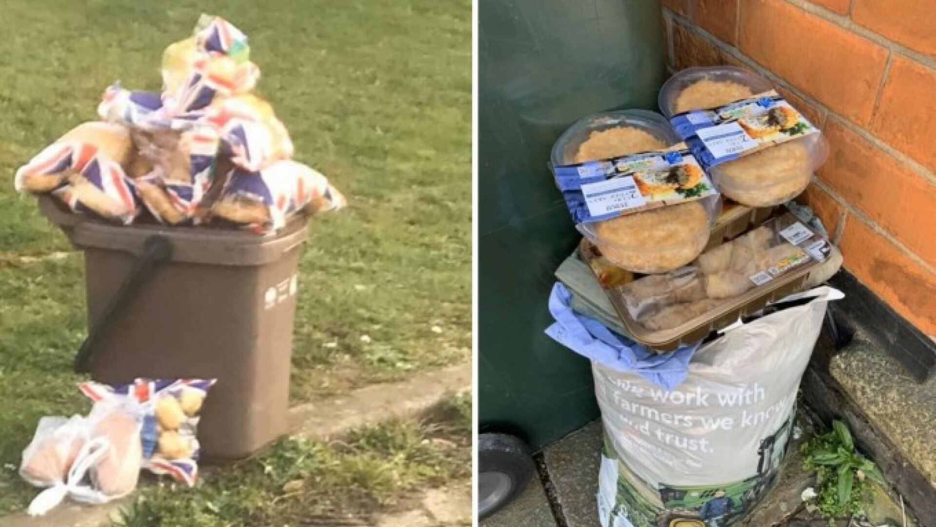 IMAGINI revoltătoare. Și-au umplut frigiderele cu alimente, dar au expirat. Tone de mâncare aruncate la gunoi