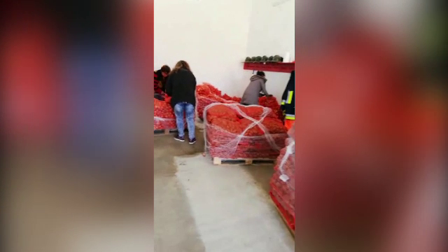 Proprietarul unei livezi din Timiș a donat peste 20 de tone de fructe și legume pentru vârstnici