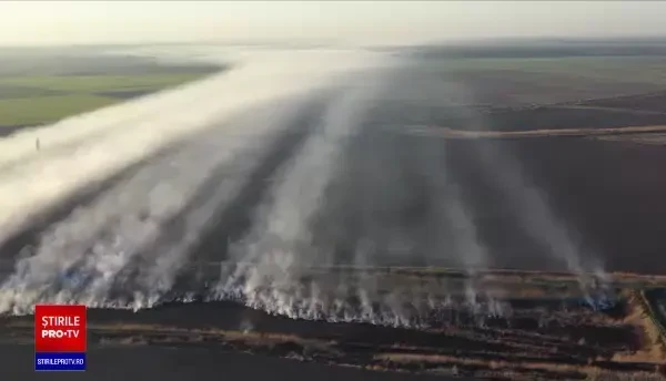 Cum ar putea poluarea din București să crească rata deceselor provocate de coronavirus