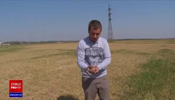 După epidemie, seceta. În multe județe nu a mai plouat de peste 7 luni