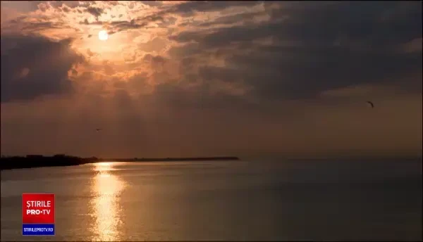 Industria peştelui din România riscă să nu-şi mai revină după pandemie. Internetul ar putea fi salvarea