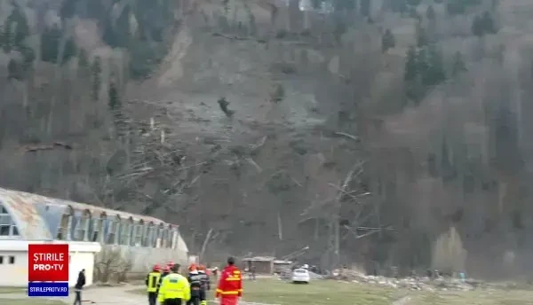 Imagini spectaculoase. Copaci prăbușiti, în urma unei alunecări de teren în Azuga. 20 de familii, evacuate
