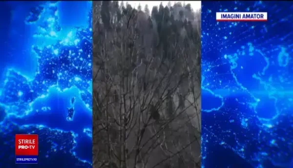 Alunecarea de teren din Azuga: ”În continuare muntele se mișcă”