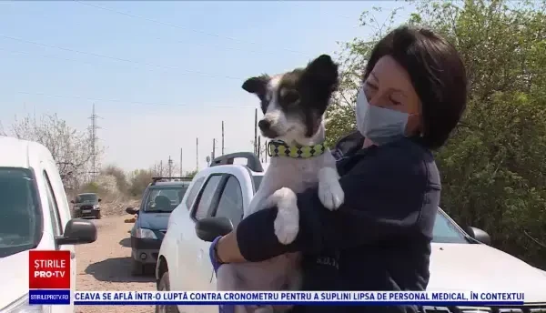 Cățelul care a rezistat singur o lună. Cum arată după ce a fost salvat