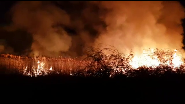 Zeci de incendii în mai multe județe din țară, în ultimele zile