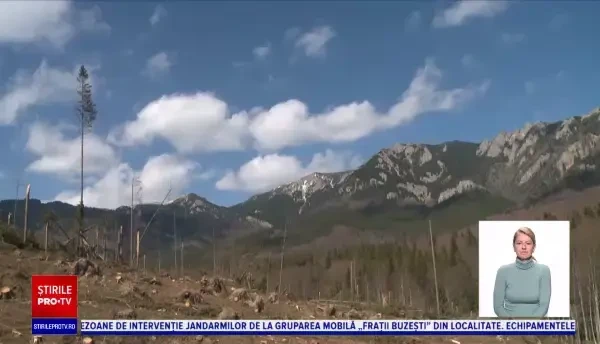 1200 de camioane încărcate cu lemne vor pleca din zona Cheia. Apelul ministrului Mediului