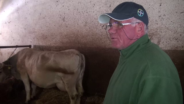 Surpriza unui fermier din Bacău când a intrat în grajdul vacilor. „Erau toţi trei lângă mama lor”