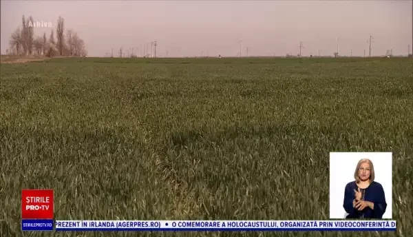 OMS a pus astmul pe lista bolilor care fac pacienții mai vulnerabili la Covid-19