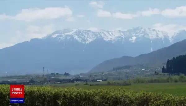 Ministrul Mediului vrea să interzică tăierile de lemne pe 75% din suprafaţa Parcurilor Naţionale