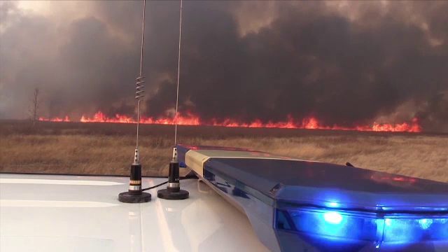 Incendii de vegetație în Siberia. Cum au fost influențate de pandemia de coronavirus