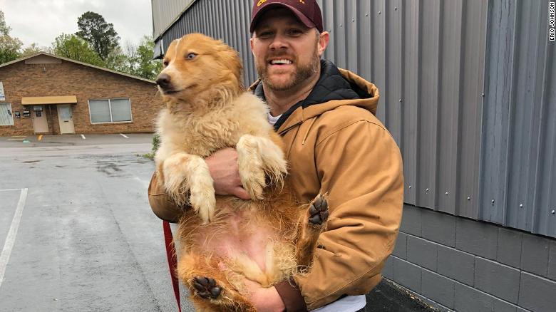 Un american și-a găsit după două luni câinele care i-a salvat familia