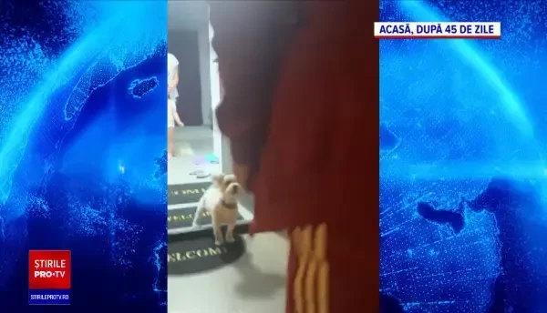 Reacția unui tânăr care își revede familia după ce a stat 45 de zile în spital. A făcut 18 teste de Covid-19