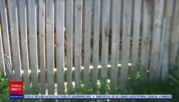 Scene tragice în Gorj. O femeie a fost sfâșiată de 5 câini, după ce a mers să-și ajute tatăl